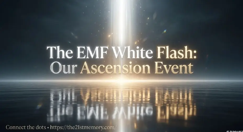 Slide deck preview - EMF White Flash